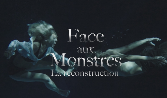 Facing the Monsters: The Reconstruction (Face aux Monstres: La reconstruction)