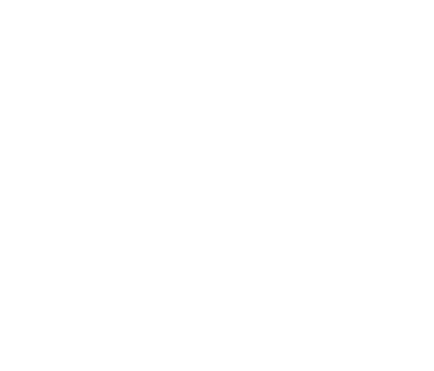 Dans les médias